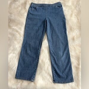 Ann Taylor side zip straight leg ankle cropped capri vintage jeans